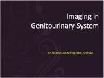 I maging in Genitourinary S ystem - slide 1