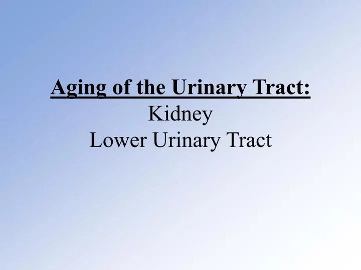 aging of the urinary tract kidney lower urinary tract