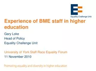 Experience of BME staff in higher education