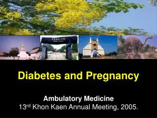 Diabetes and Pregnancy Ambulatory Medicine 13 rd Khon Kaen Annual Meeting, 2005.
