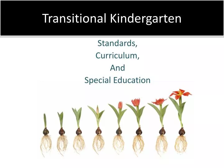 transitional kindergarten