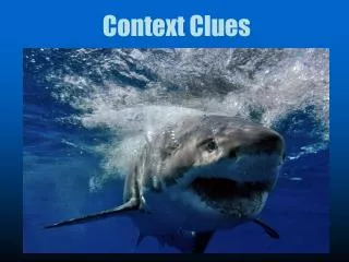 Context Clues