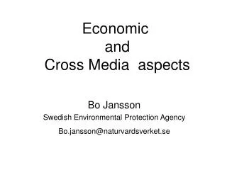Economic and Cross Media aspects