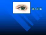 The EYE - slide 1