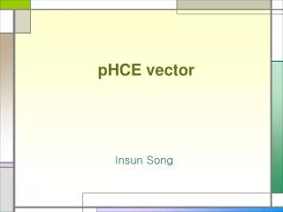 pHCE vector
