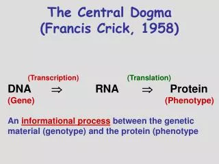 The Central Dogma (Francis Crick, 1958)
