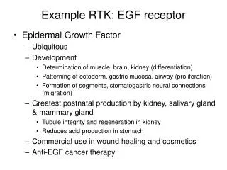 Example RTK: EGF receptor