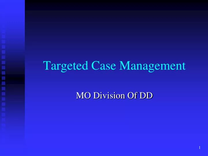 targeted case management