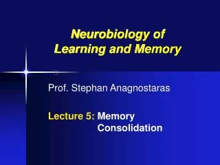 Prof. Stephan Anagnostaras Lecture 5: Memory 			 Consolidation