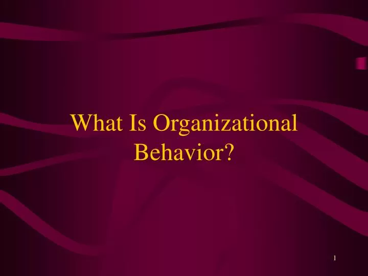 what is organizational behavior