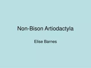 Non-Bison Artiodactyla