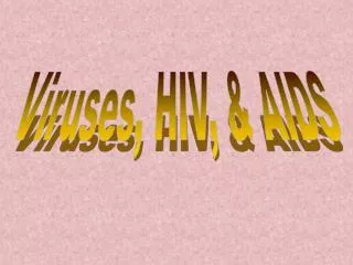Viruses, HIV, &amp; AIDS