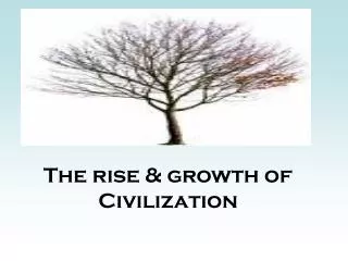 The rise &amp; growth of Civilization