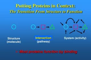 Putting Proteins in Context: The Transition From Structure to Function
