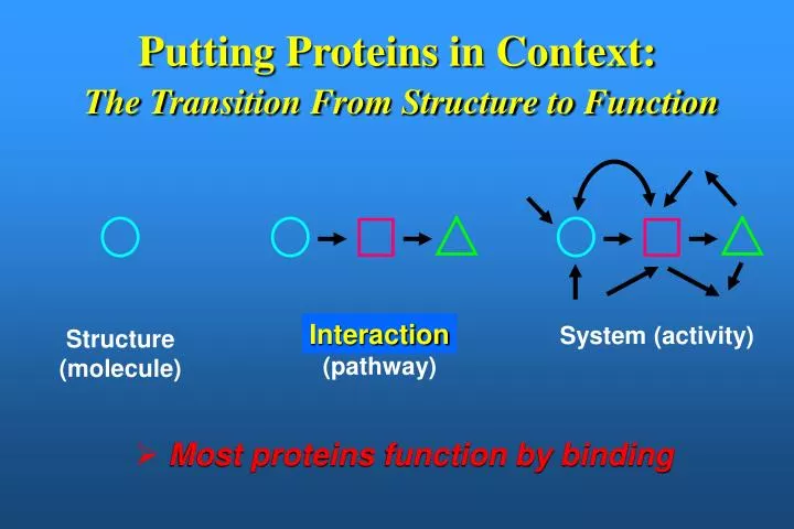 putting proteins in context the transition from structure to function