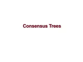 Consensus Trees