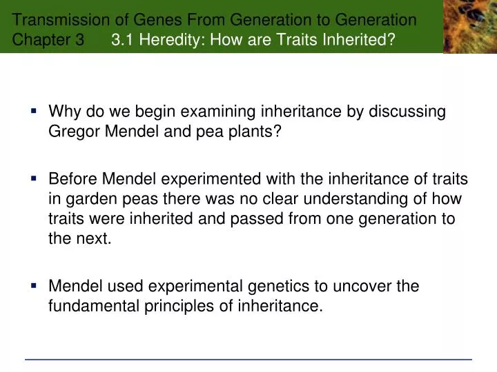 transmission of genes from generation to generation chapter 3 3 1 heredity how are traits inherited
