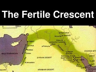 The Fertile Crescent