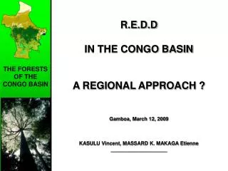 THE FORESTS OF THE CONGO BASIN