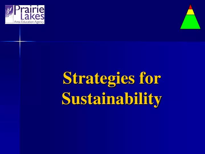strategies for sustainability