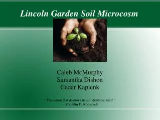 Lincoln Garden Soil Microcosm