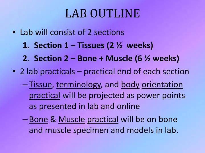 lab outline