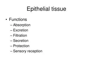 Epithelial tissue