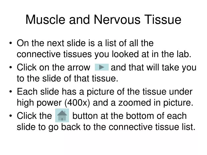muscle and nervous tissue