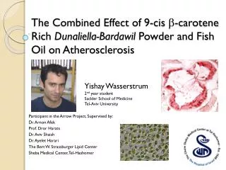The Combined Effect of 9-cis b -carotene Rich Dunaliella- Bardawil Powder and Fish Oil on Atherosclerosis