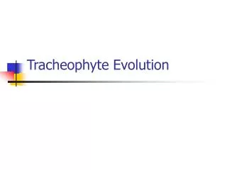 Tracheophyte Evolution