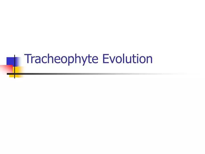 tracheophyte evolution