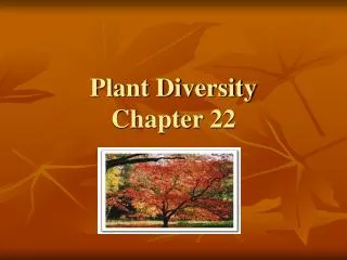 Plant Diversity Chapter 22