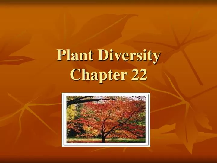 plant diversity chapter 22