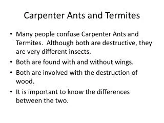 Carpenter Ants and Termites