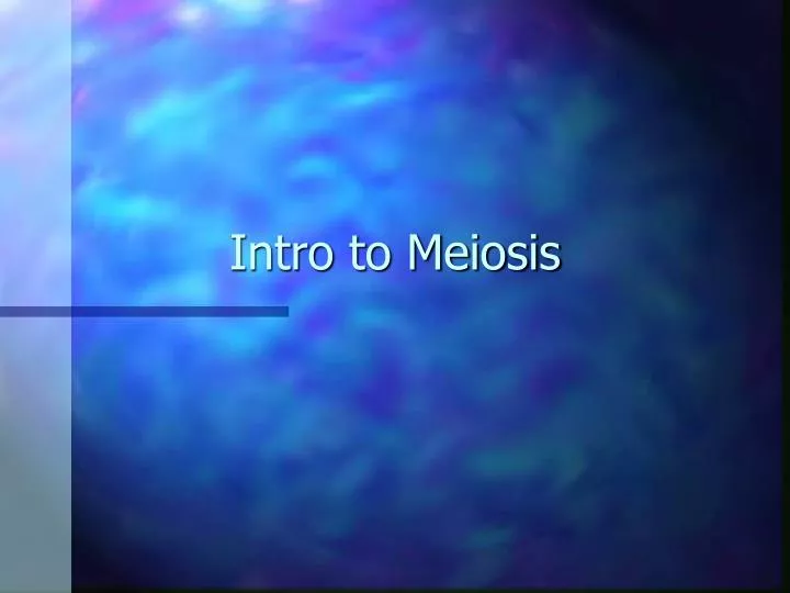 intro to meiosis
