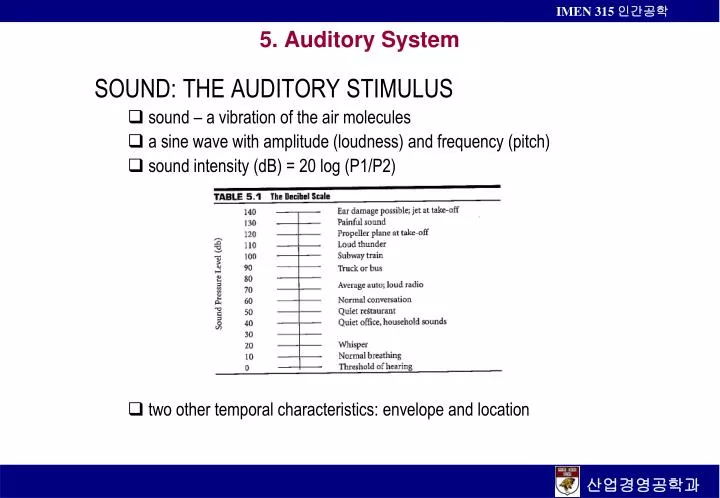 5 auditory system