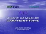 WP3 - slide 1