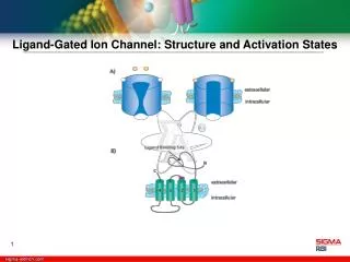 Ligand-Gated Ion Channel: Structure and Activation States
