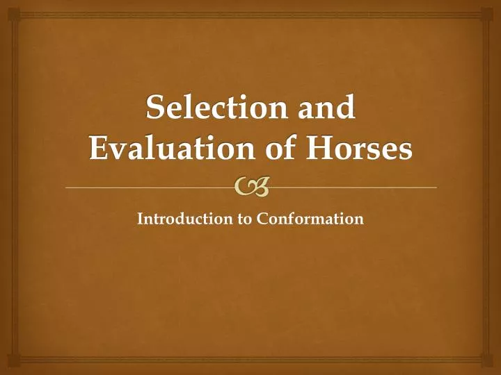 selection and evaluation of horses