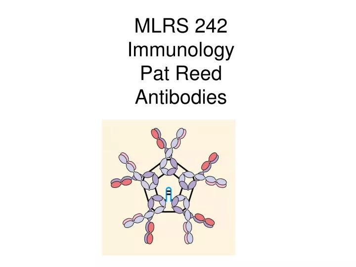 mlrs 242 immunology pat reed antibodies
