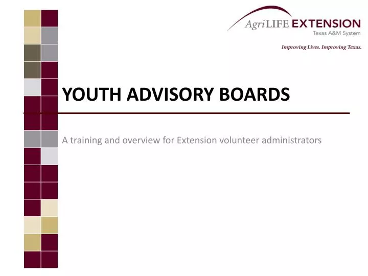 youth advisory boards