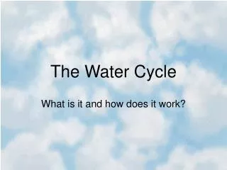 The Water Cycle