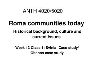 Roma communities today Historical background, culture and current issues