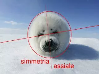 simmetria