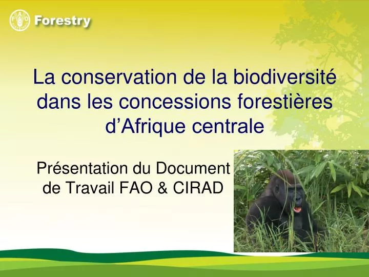 la conservation de la biodiversit dans les concessions foresti res d afrique centrale
