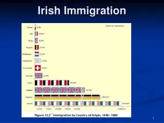 Irish Immigration
