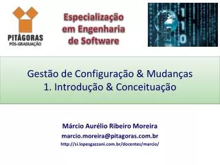 gest o de configura o mudan as 1 introdu o conceitua o