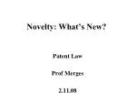 Novelty: What’s New? - slide 1