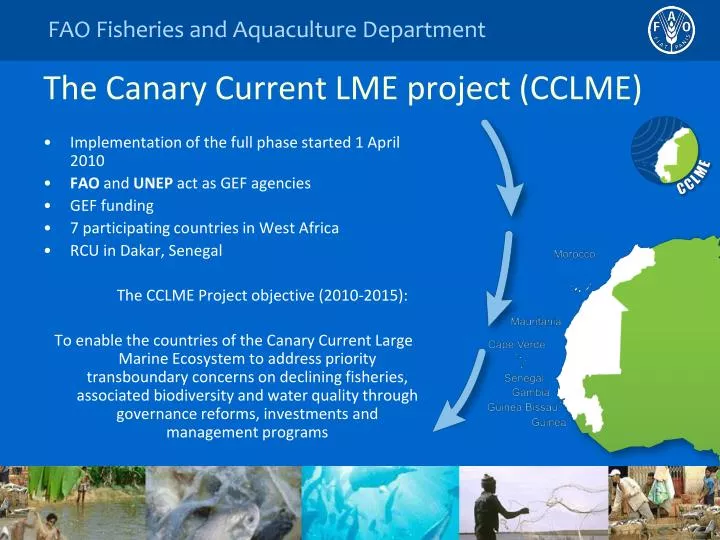 the canary current lme project cclme