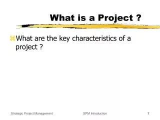 What is a Project ?